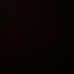 Meet your Posher, Travis